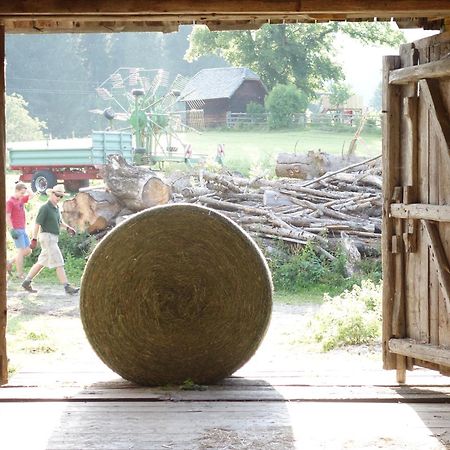 Urlaub Am Bio-Bauernhof Liebchen Vila Zeutschach Exterior foto