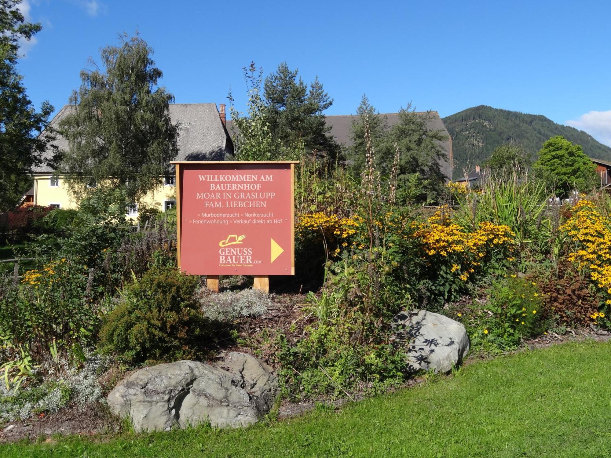 Urlaub Am Bio-Bauernhof Liebchen Vila Zeutschach Exterior foto