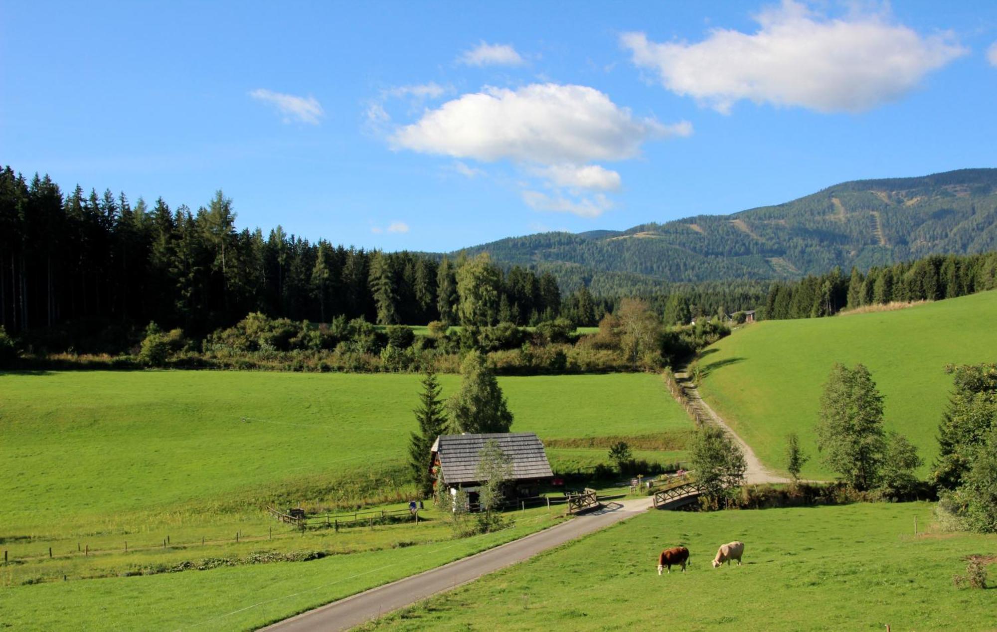 Urlaub Am Bio-Bauernhof Liebchen Vila Zeutschach Exterior foto