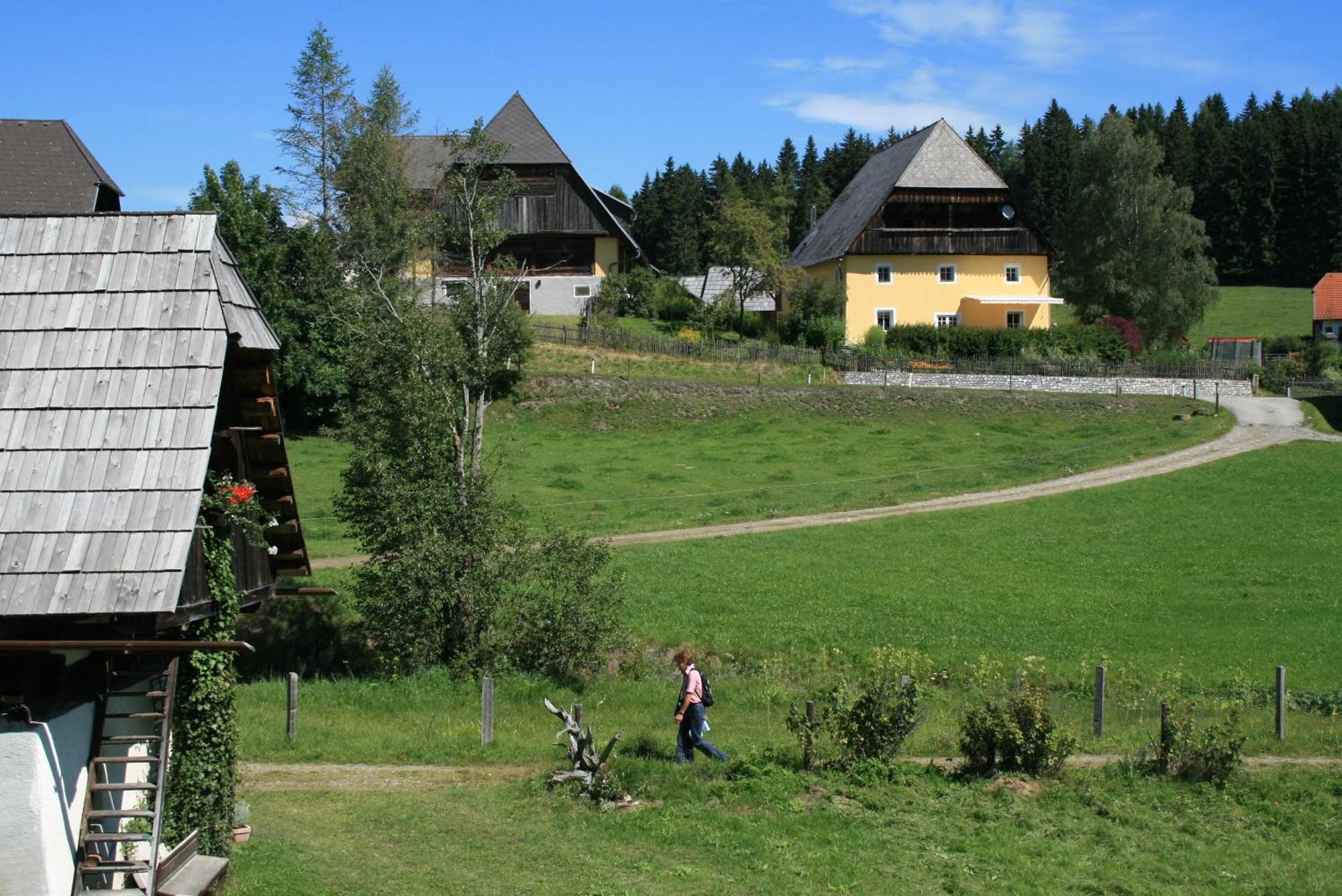 Urlaub Am Bio-Bauernhof Liebchen Vila Zeutschach Exterior foto