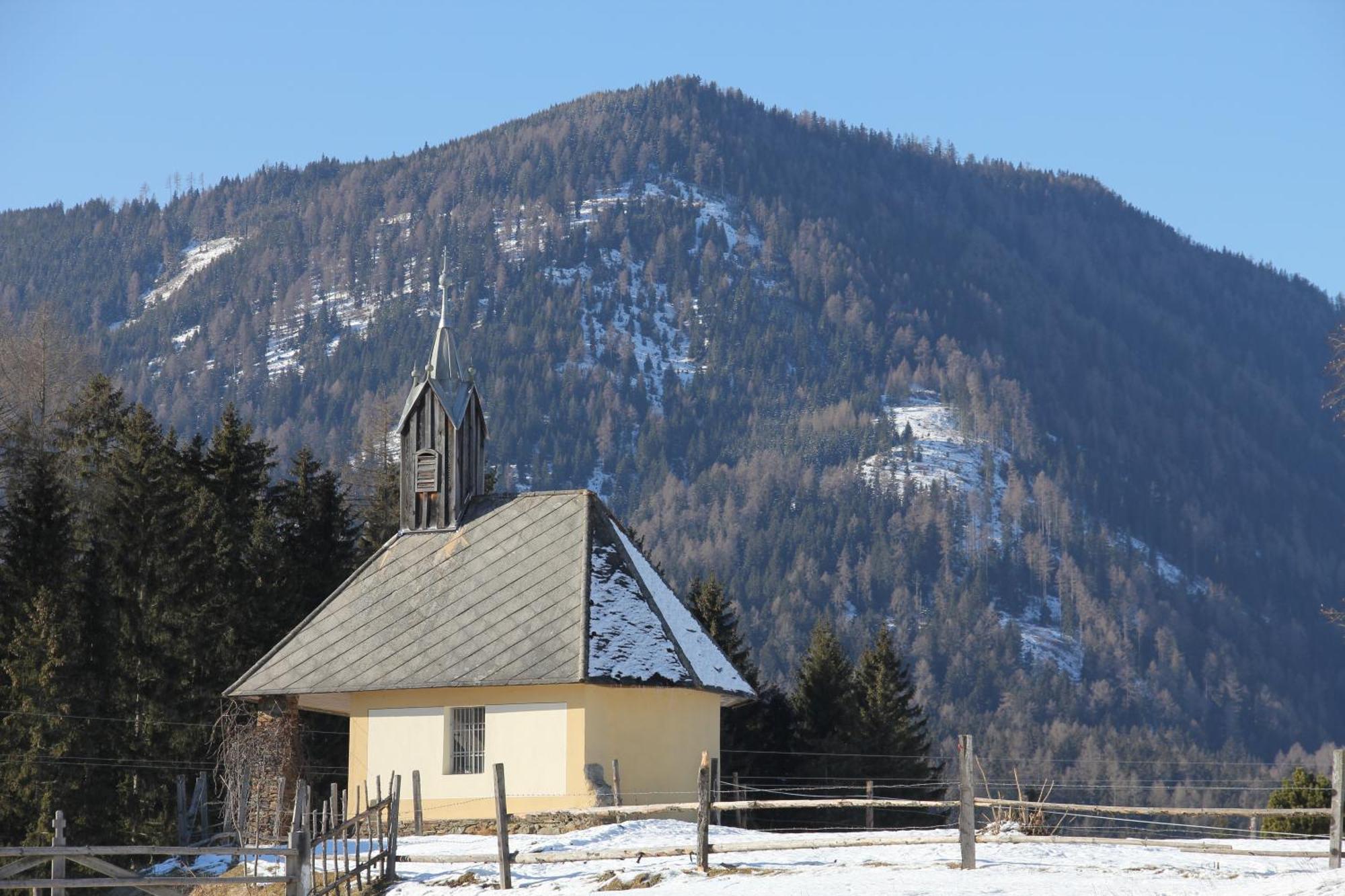 Urlaub Am Bio-Bauernhof Liebchen Vila Zeutschach Exterior foto