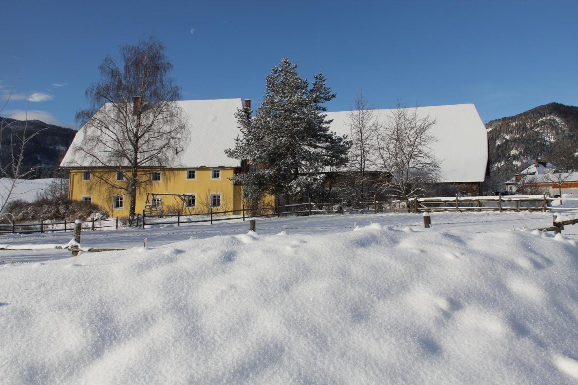Urlaub Am Bio-Bauernhof Liebchen Vila Zeutschach Exterior foto