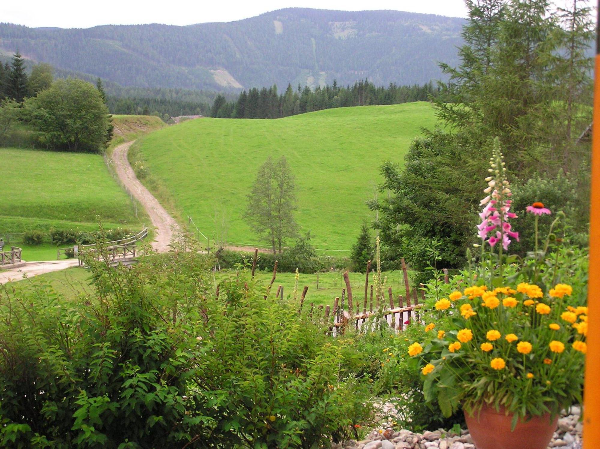 Urlaub Am Bio-Bauernhof Liebchen Vila Zeutschach Exterior foto