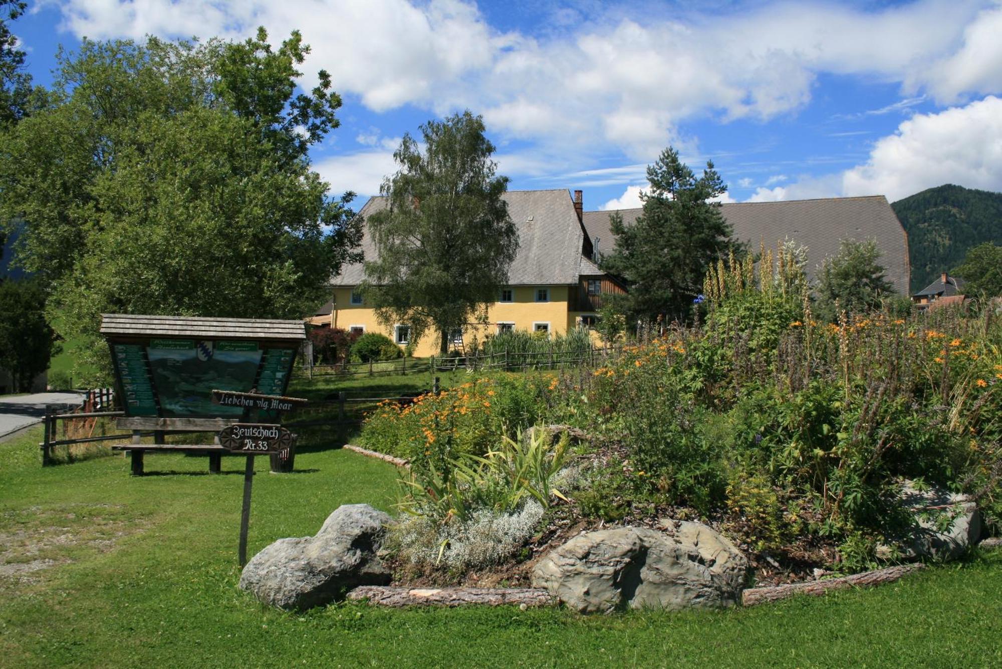 Urlaub Am Bio-Bauernhof Liebchen Vila Zeutschach Exterior foto