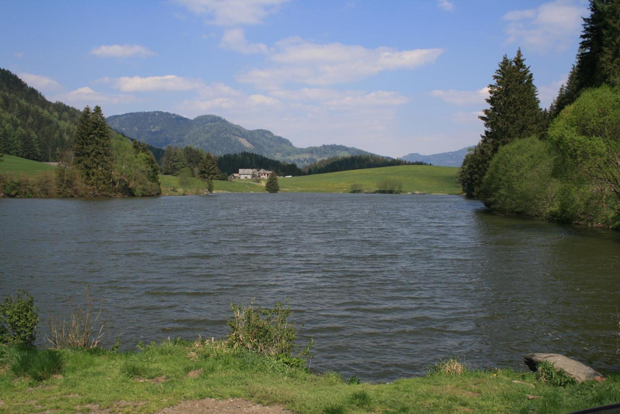 Urlaub Am Bio-Bauernhof Liebchen Vila Zeutschach Exterior foto