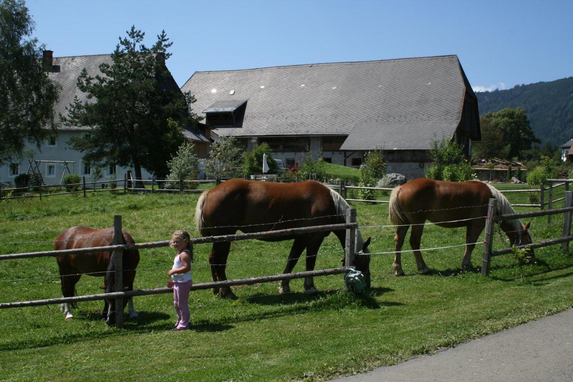 Urlaub Am Bio-Bauernhof Liebchen Vila Zeutschach Exterior foto