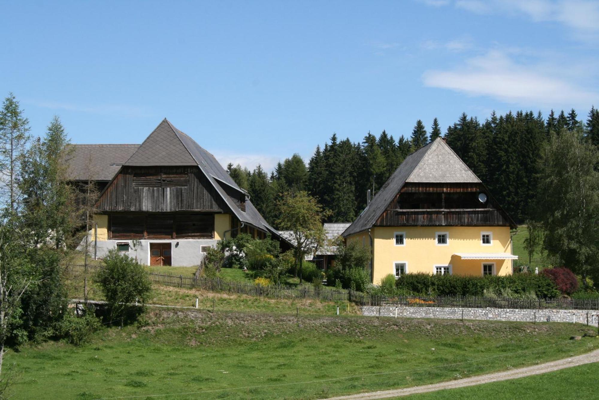 Urlaub Am Bio-Bauernhof Liebchen Vila Zeutschach Exterior foto