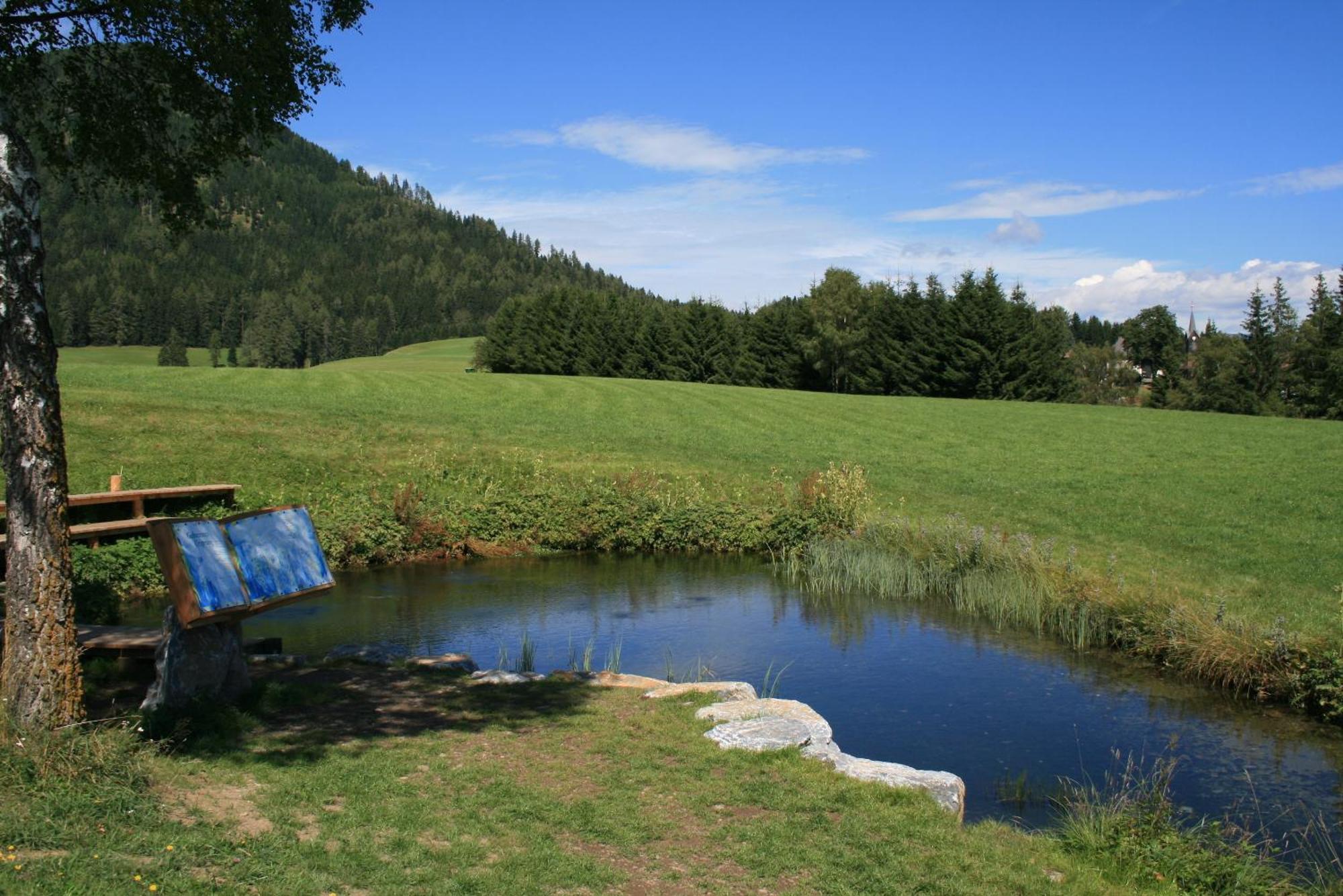 Urlaub Am Bio-Bauernhof Liebchen Vila Zeutschach Exterior foto